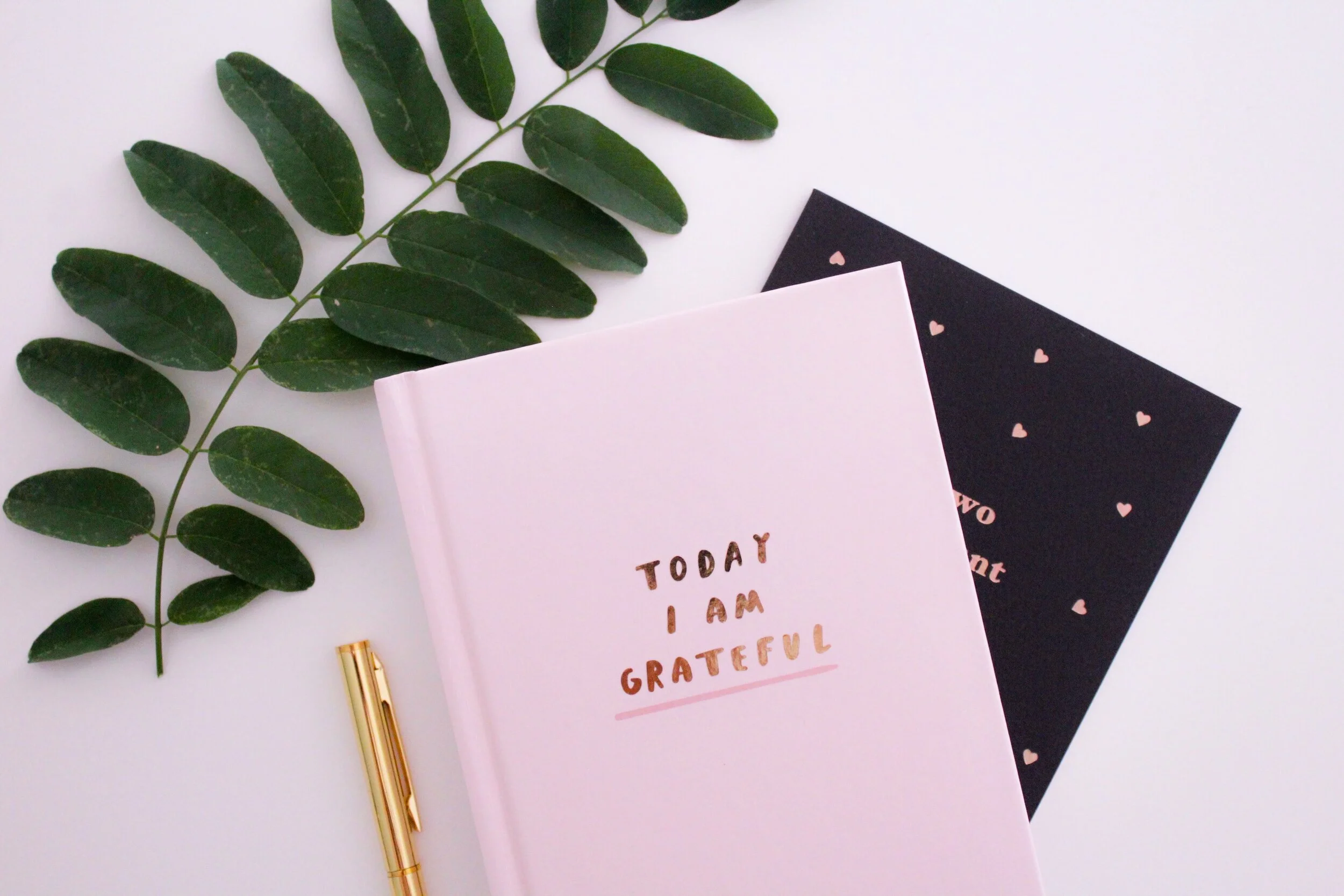Give Thanks and Practice Gratitude - gabrielle henderson M4lve6jR26E unsplash